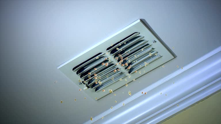 Best Local Air Duct Cleaning Services  in Tappahannock, VA